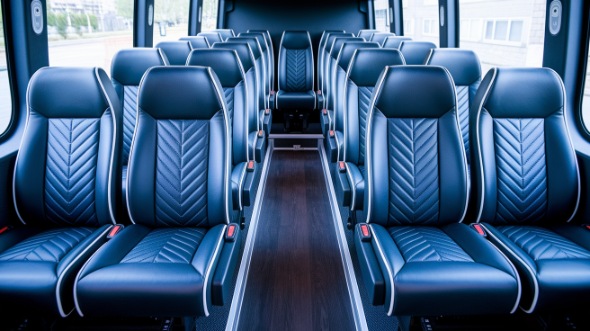 15 passenger minibus inside schaumburg