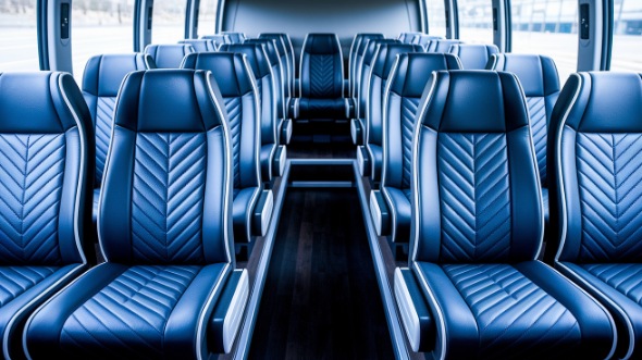 18 passenger minibus rental schaumburg