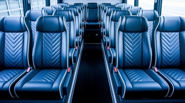 20 passenger minibus inside schaumburg