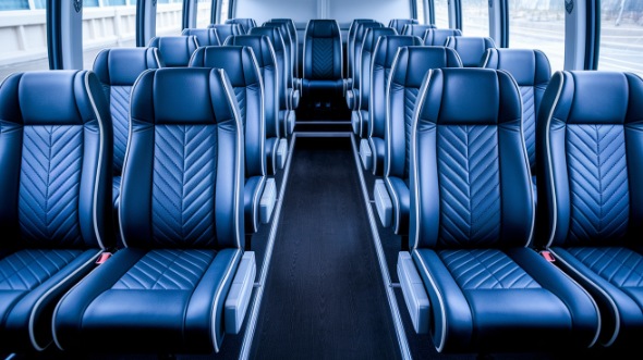 28 passenger minibus rental schaumburg