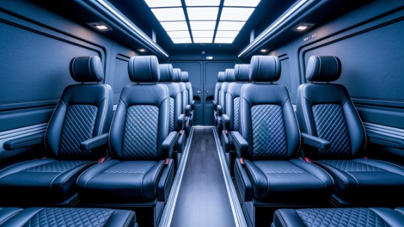 sprinter van with driver rental schaumburg